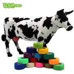 Harga Bagus Perlengkapan Medis Berkualitas Tinggi Mudah Diregangkan Tubular Elastis Kohesif Perban Lembut Lateks Aksesoris Kapas OEM